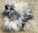 Kissenbezug echtes Lammfell Schaffell weiß / grau / schwarz ISLAND langes Fell 60x60 Einseitig