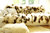 Decke Lammfell weiß/beige 220x180 echtes Schaffell langes Fell ISLAND kuschelige Pelzdecke