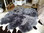 Lammfell echtes Schaffell Dekofell riesig XXXL 6-fach 180x155 cm Grau Silbergrau Überwurf Decke