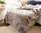 Decke sehr weiches Schaffell Beige hell taupe 200x160 cm kurzes Fell Tagesdecke Überwurf