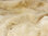 Wunderschöne weiche Decke aus Schaffell goldbeige / creme 200x160 cm Tagesdecke Überwurf