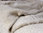Wunderschöne weiche Decke aus Schaffell naturweiß / grau 200x160 cm Tagesdecke Überwurf