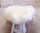 SONDERPREIS Runde Sitzauflage Sitzkissen australisches Lammfell HEITMANN FELLE naturweiß 45 cm