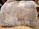 Decke sehr weiches Schaffell grau/ silbergrau 220x200 cm kurzes Fell Tagesdecke Überwurf gefüttert
